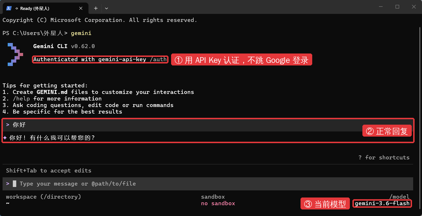 Gemini CLI | Drag API 文档